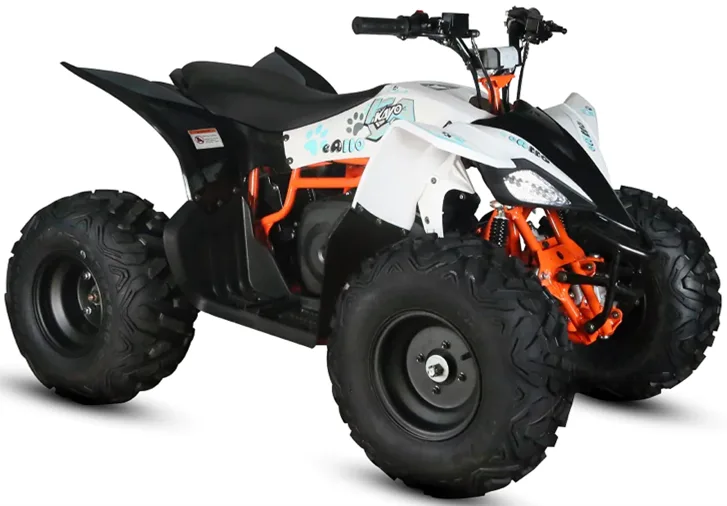 KAYO eA110 — особливості