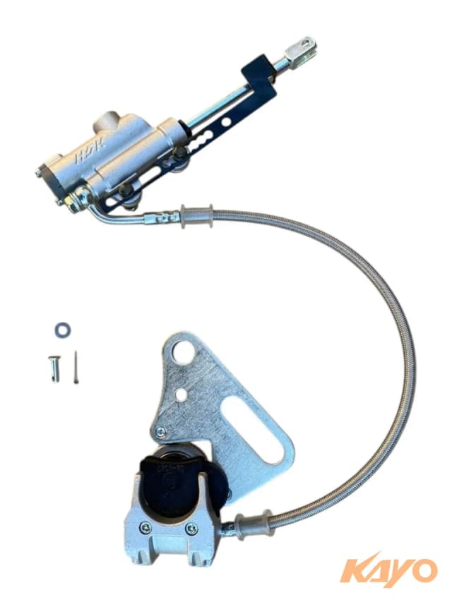 Rear disc brake assy